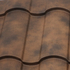     Safari Brown